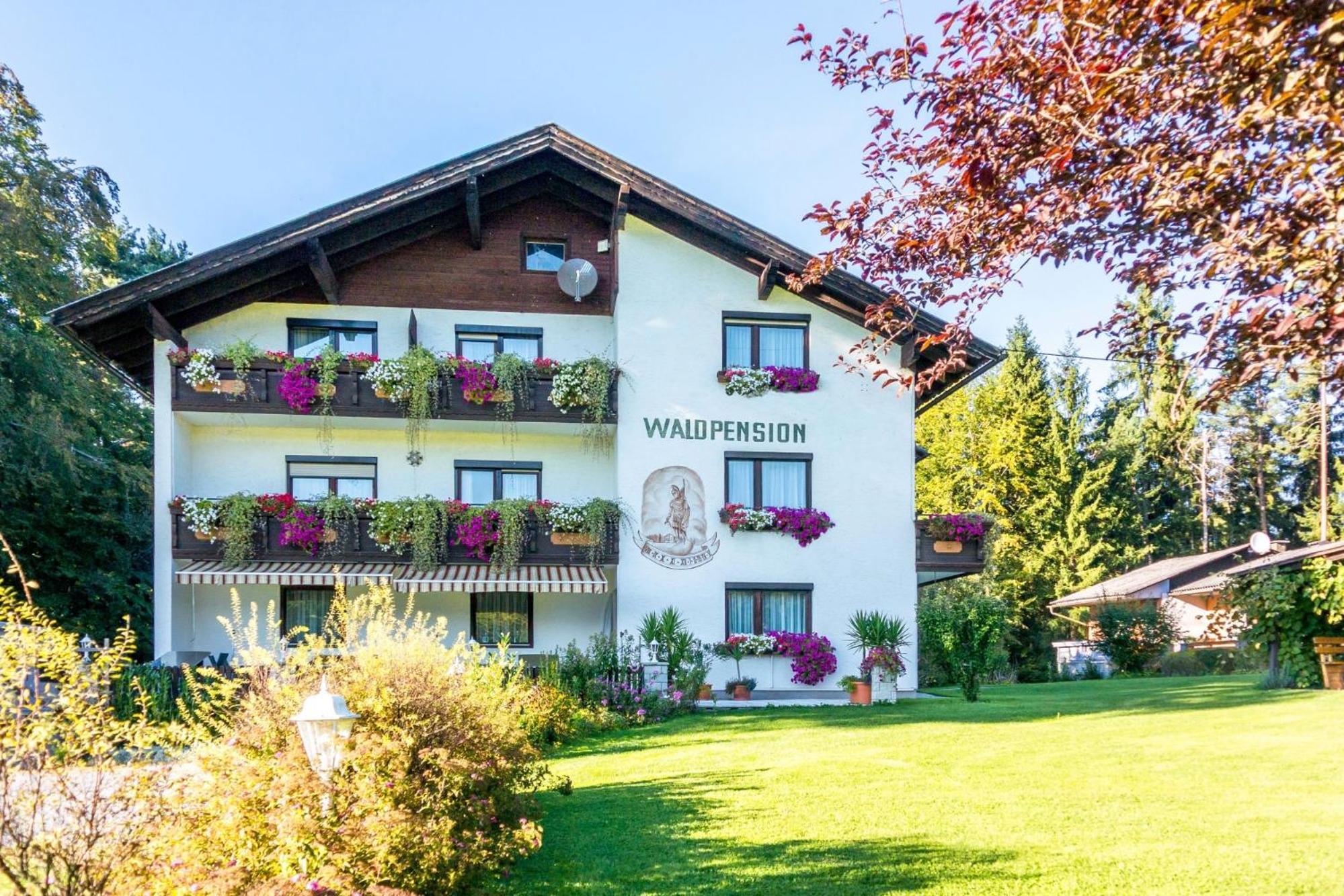 Waldpension Schiefling Am Schiefling am See