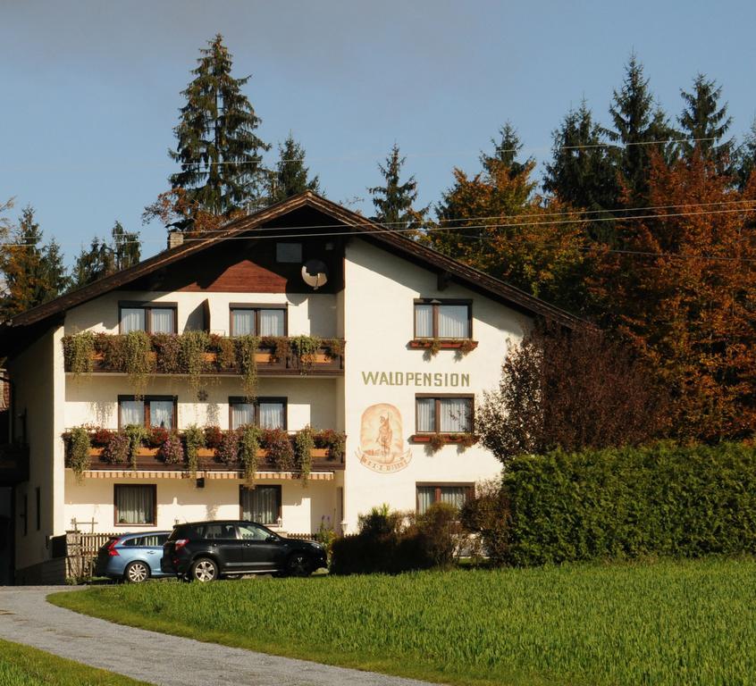 Pensión Waldpension Schiefling Am Schiefling am See