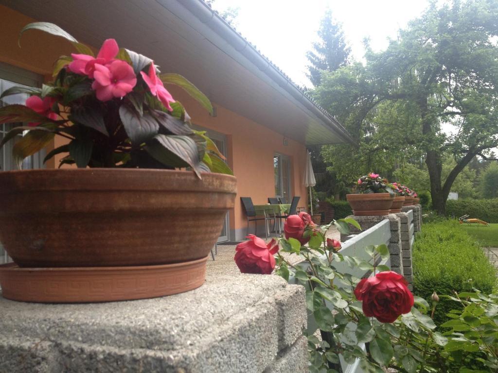 Waldpension Schiefling Am 3*