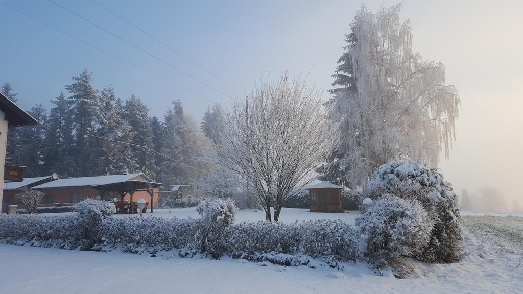 Waldpension Schiefling Am 3* Schiefling am See
