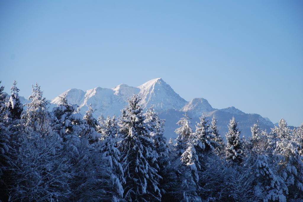 Pensión Waldpension Schiefling Am